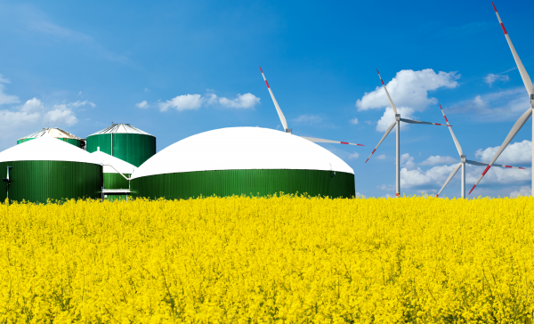 Erfassung des Ist-Zustands Ihrer Biogasanlage